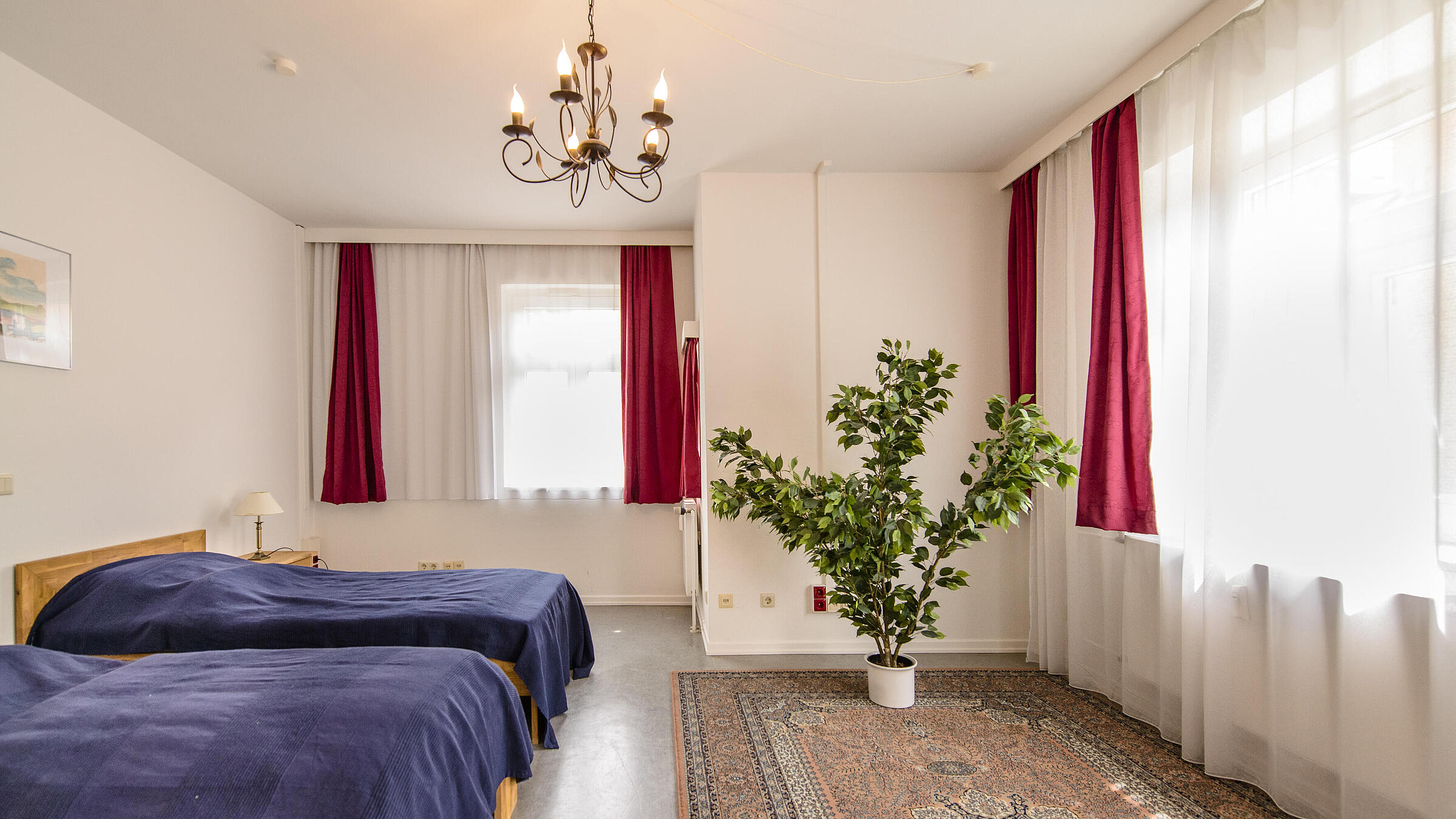 Ein Wohnzimmer mit einer blauen Couch