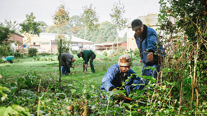 Mehrere Männer arbeiten in einem großen Garten