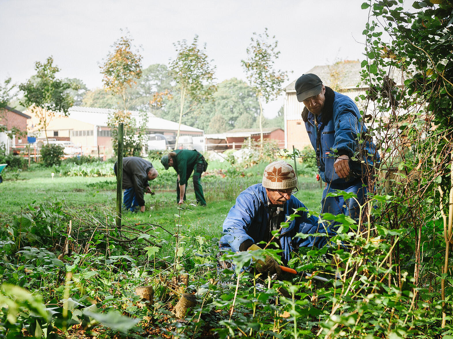 Mehrere Männer arbeiten in einem großen Garten