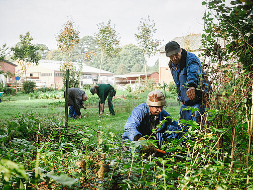 Mehrere Männer arbeiten in einem großen Garten