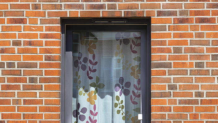 Ein Fenster mit Blumen 