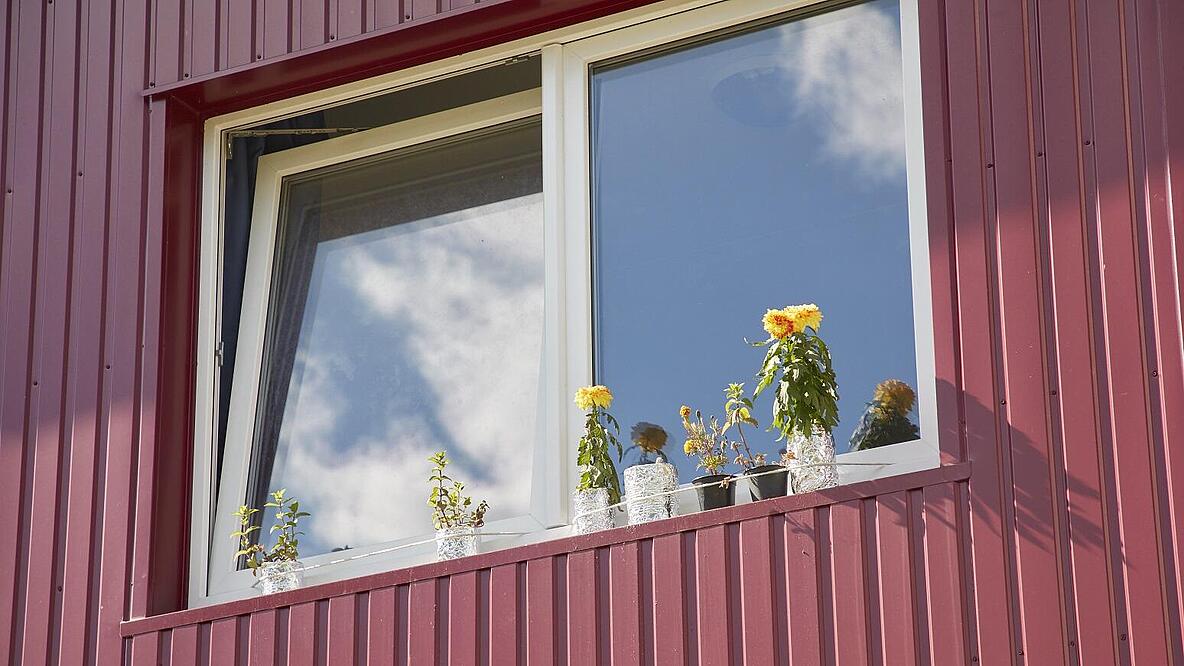 Blumen vor dem Fenster einer Unterkunft 