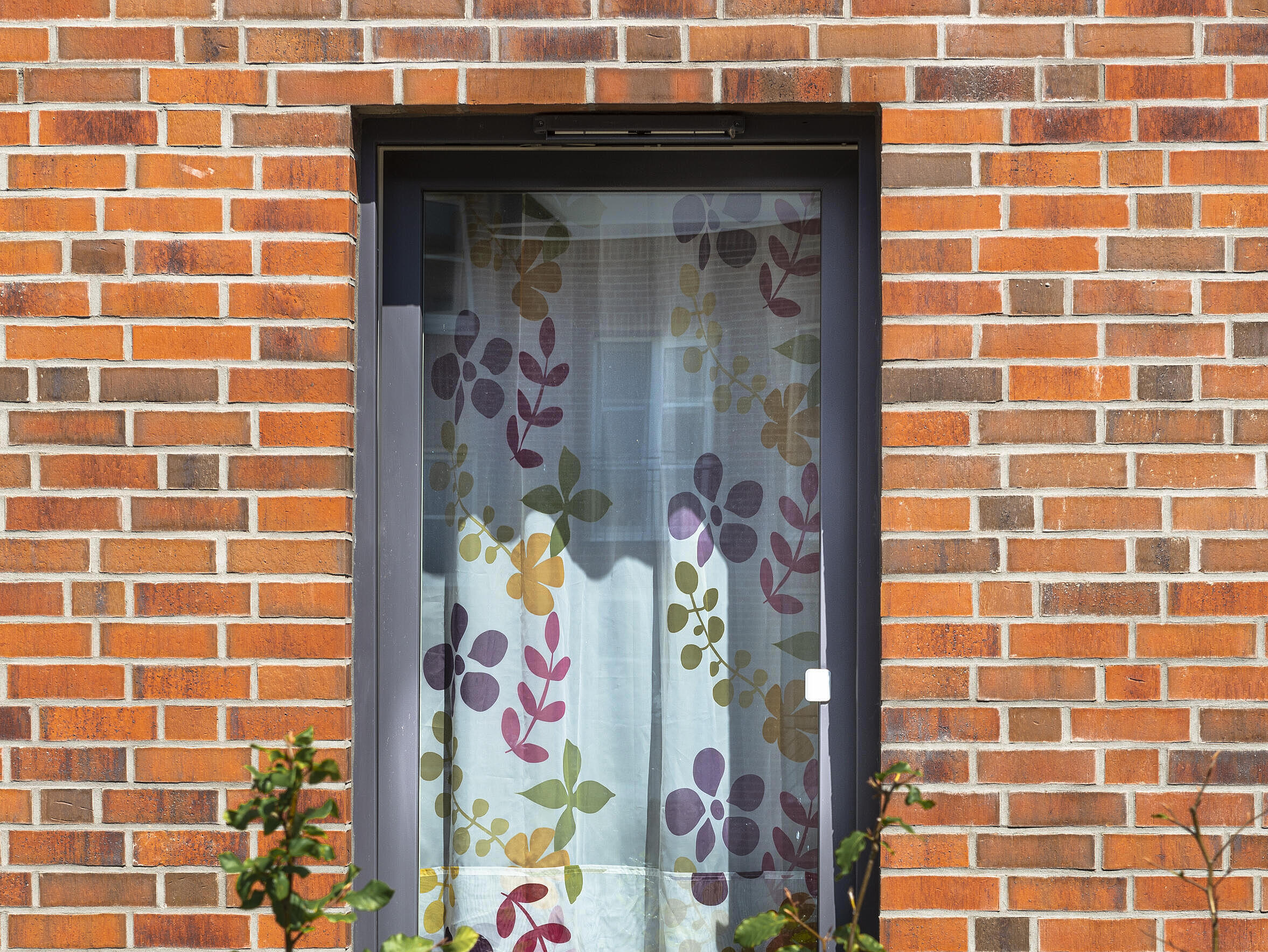Ein Fenster mit Blumen 